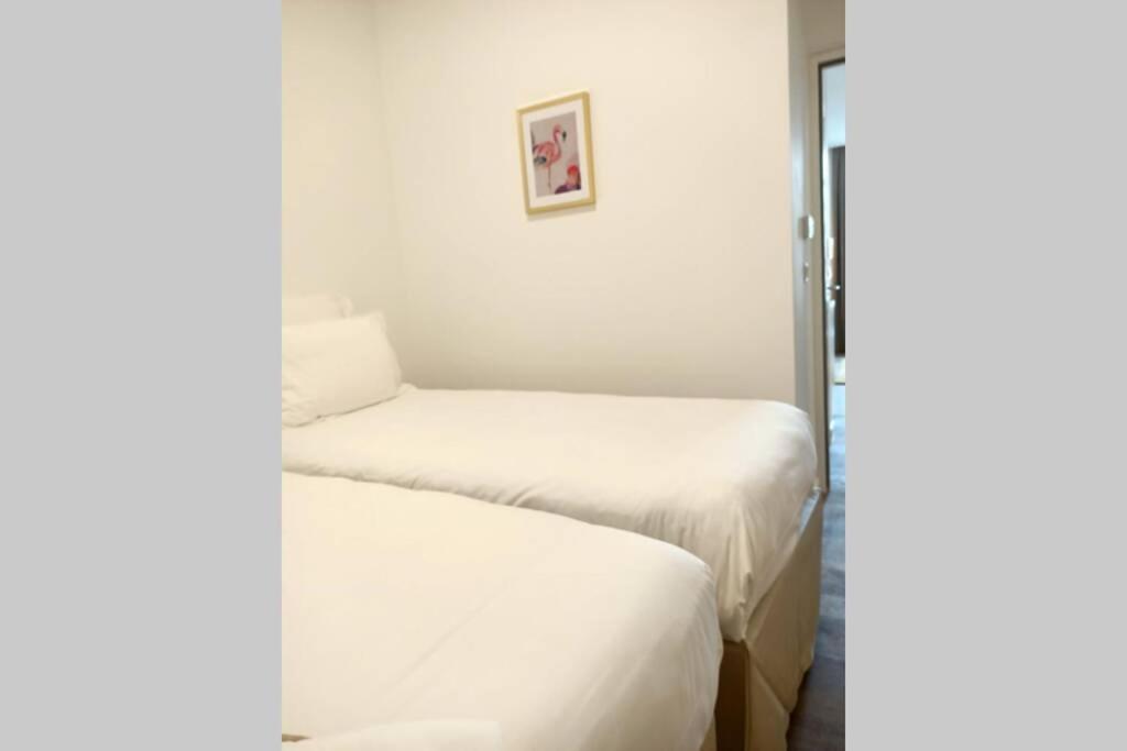 Appartement Montpellier Comédie Gare St Roch Extérieur photo